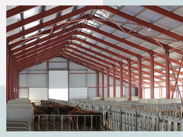 Строительство коровников в Выборге