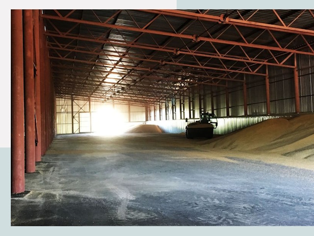 Строительство зернохранилищ в Выборге