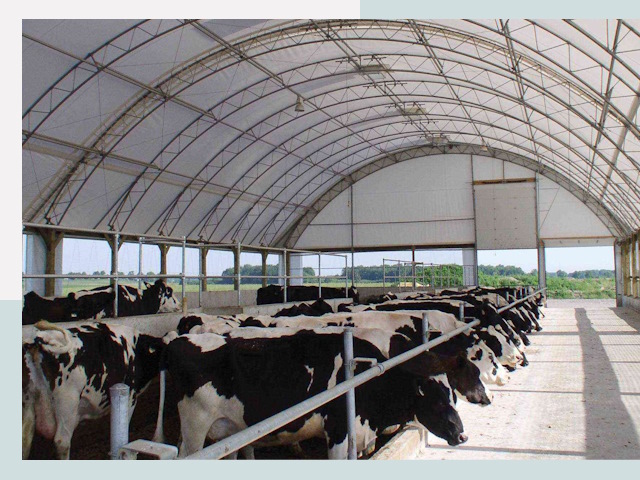 Тентовые коровники в Выборге